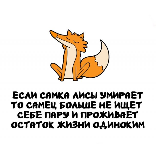 Интересные факты на все случаи жизни