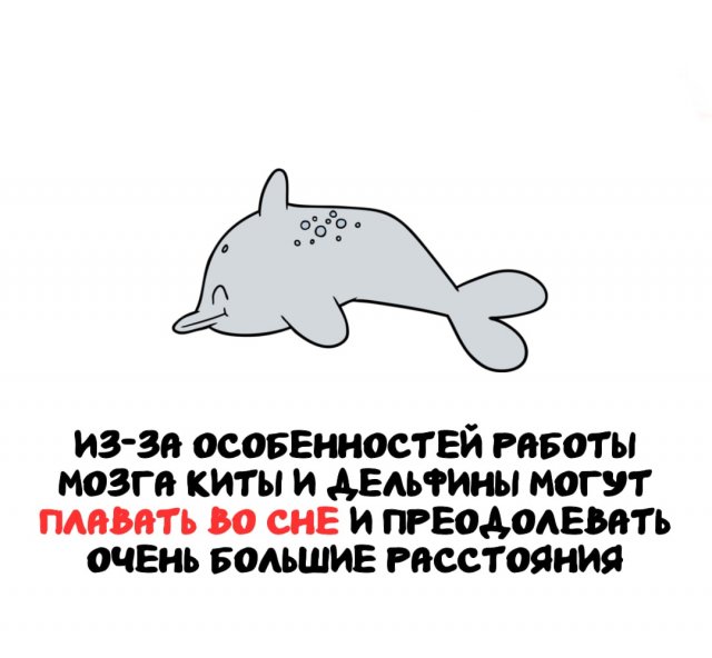 Интересные факты на все случаи жизни