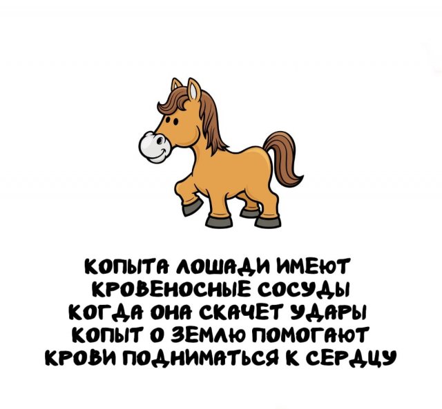 Интересные факты на все случаи жизни