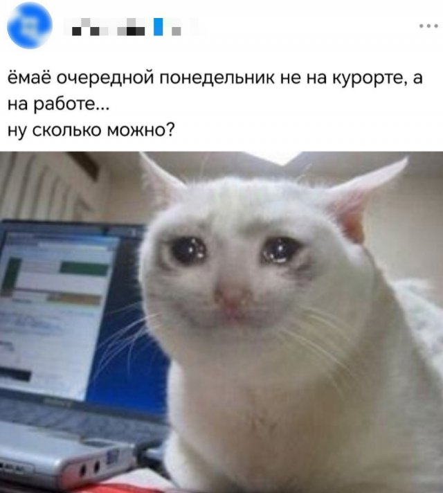 Подборка картинок. Вечерний выпуск - 16.06.2025