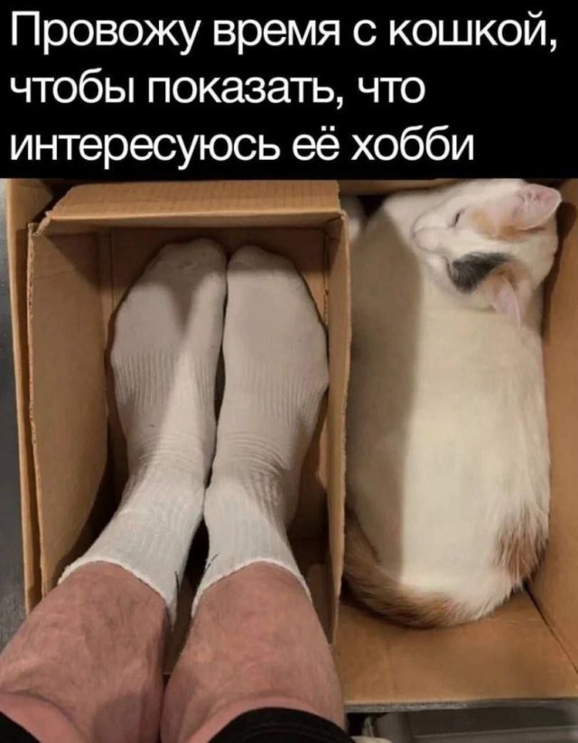 Лучшие шутки и мемы из Сети - 16.06.2025