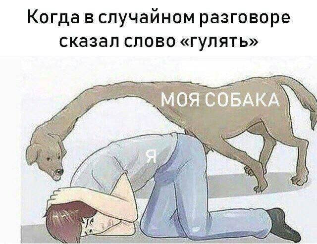 Лучшие картинки и мемы из Сети - 17.06.2025