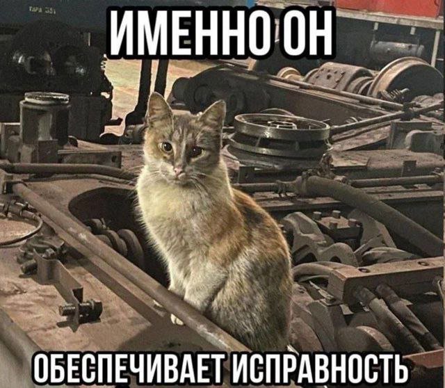 Лучшие картинки и мемы из Сети - 17.06.2025