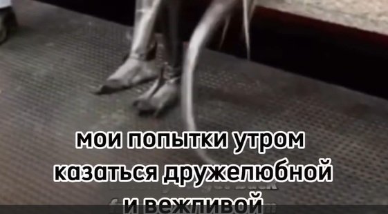 Когда с утра очень тяжело