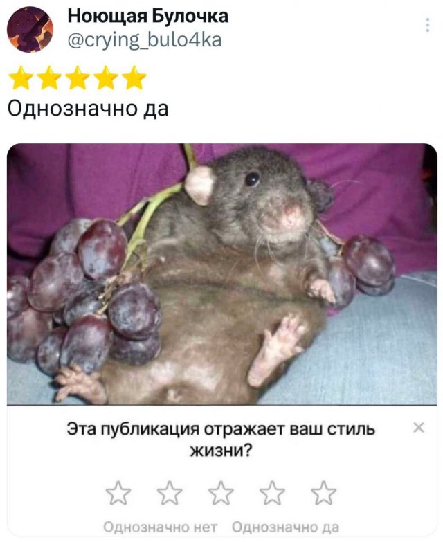 Подборка забавных твитов обо всем