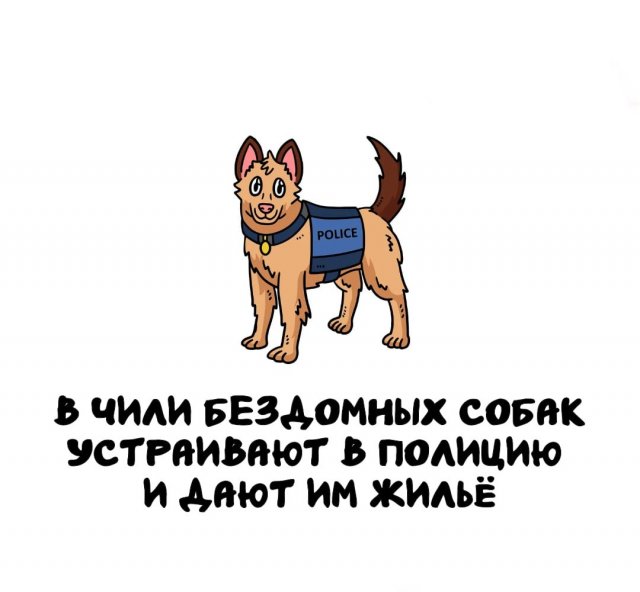 Интересные факты на все случаи жизни