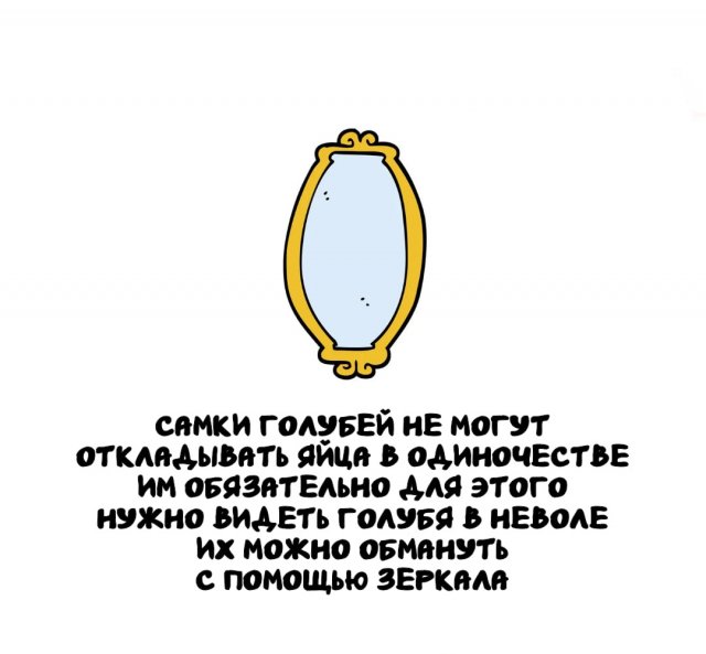 Интересные факты на все случаи жизни
