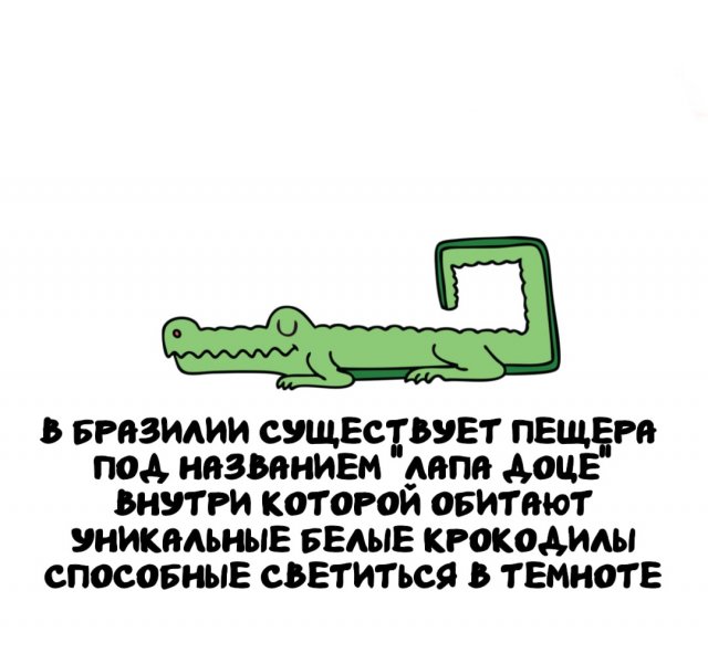 Интересные факты на все случаи жизни