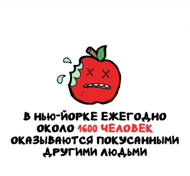 Интересные факты на все случаи жизни