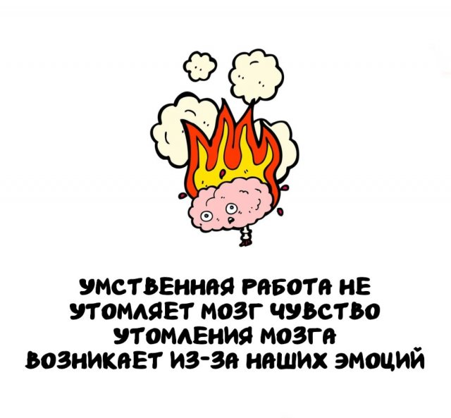 Интересные факты на все случаи жизни