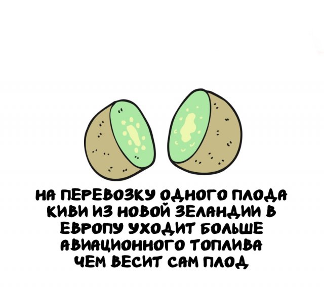 Интересные факты на все случаи жизни