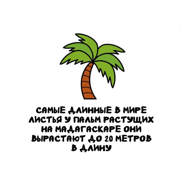 Интересные факты на все случаи жизни