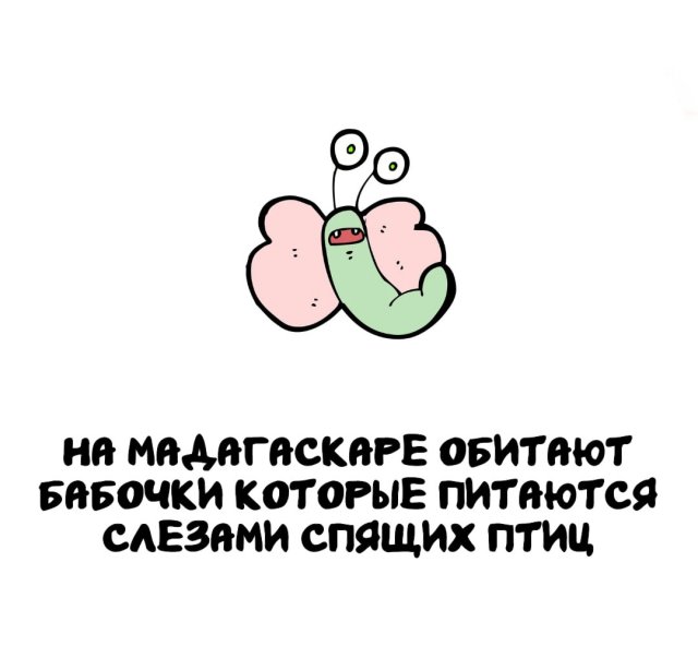 Интересные факты на все случаи жизни