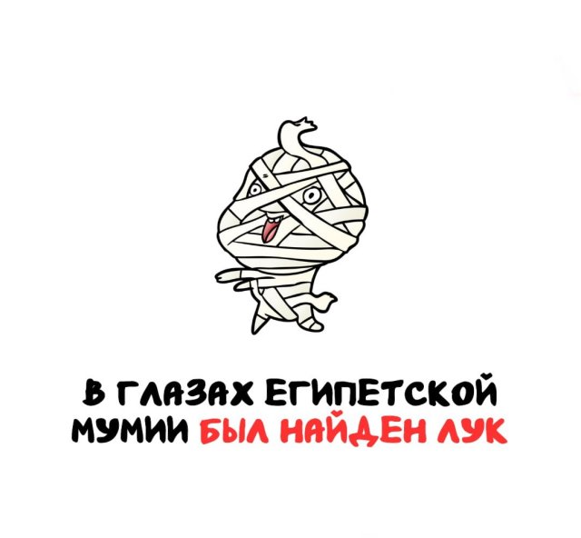 Интересные факты на все случаи жизни