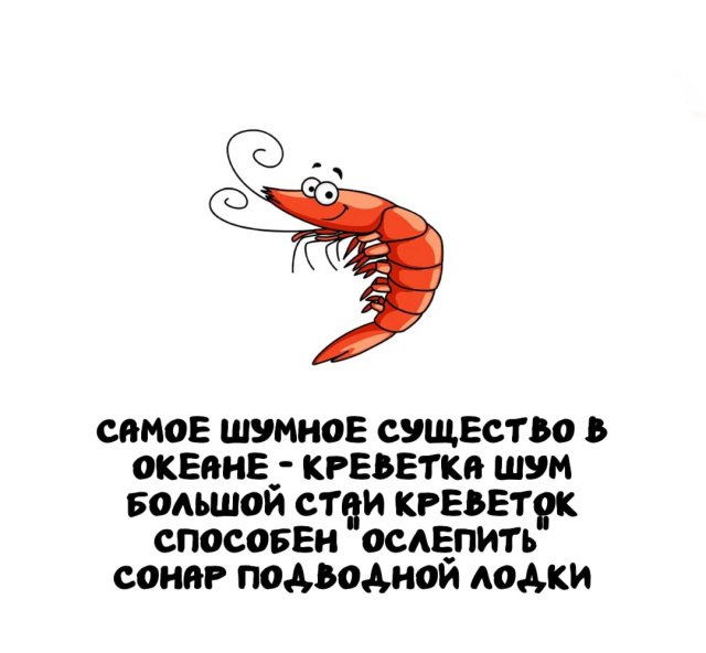 Интересные факты на все случаи жизни