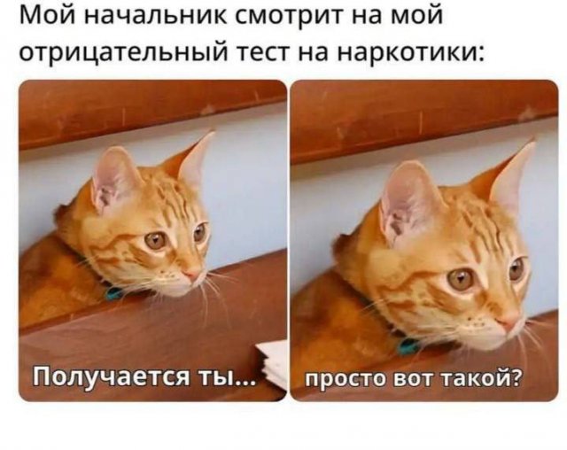Лучшие шутки и мемы из Сети - 18.06.2025