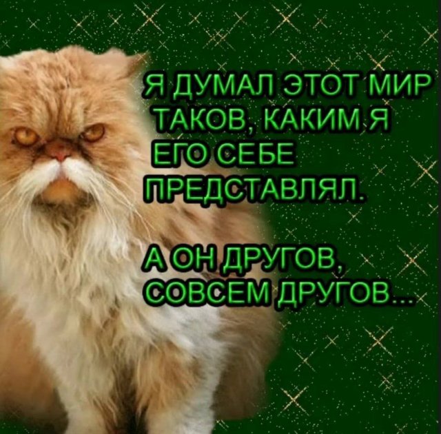 Лучшие шутки и мемы из Сети - 18.06.2025