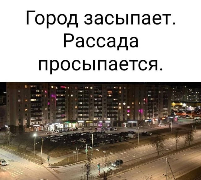 Лучшие шутки и мемы из Сети - 18.06.2025
