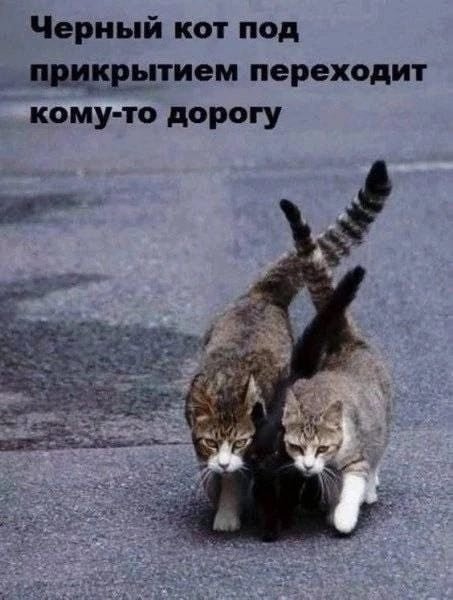 Лучшие шутки и мемы из Сети - 18.06.2025