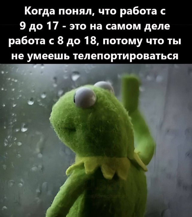 Лучшие шутки и мемы из Сети - 18.06.2025