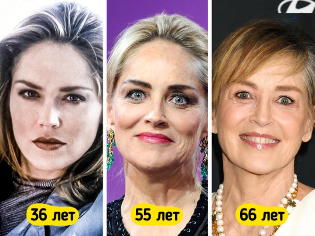Шэрон Стоун в 36, 55 и 66 лет Шэрон Стоун в 36, 55 и 66 лет