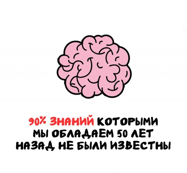Интересные факты на все случаи жизни
