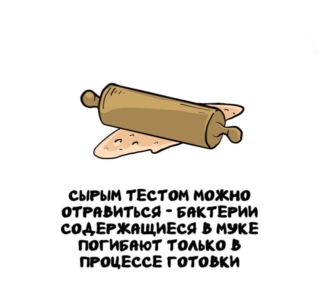 Интересные факты на все случаи жизни