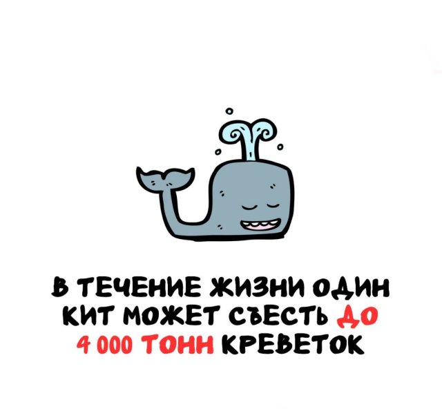 Интересные факты на все случаи жизни
