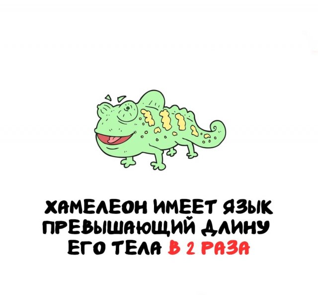 Интересные факты на все случаи жизни