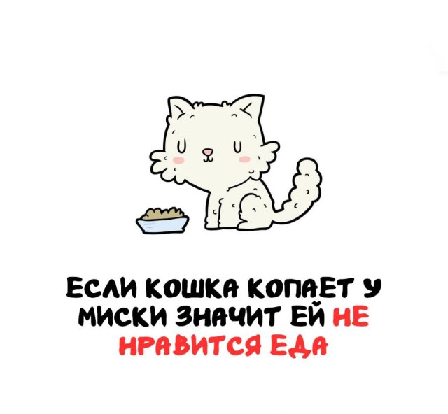 Интересные факты на все случаи жизни