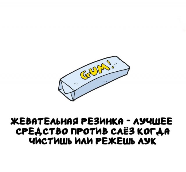 Интересные факты на все случаи жизни