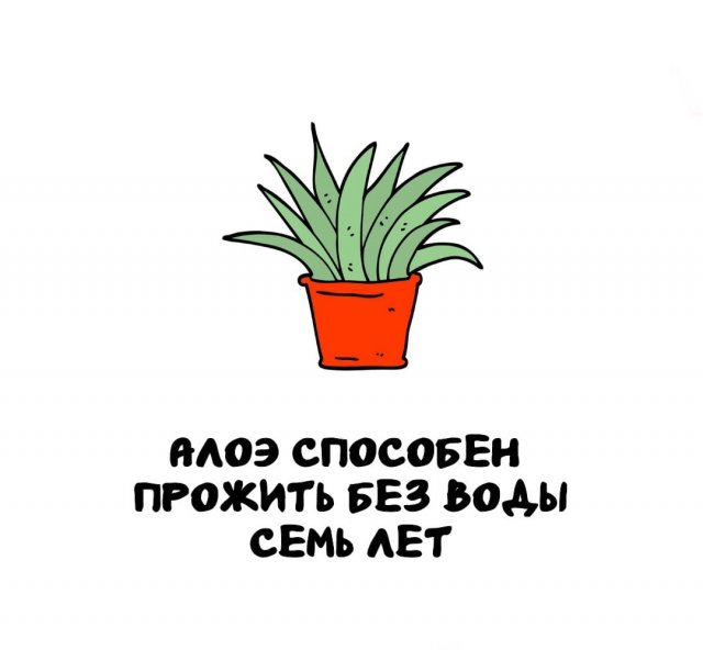 Интересные факты на все случаи жизни