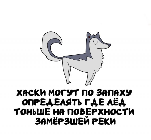 Интересные факты на все случаи жизни