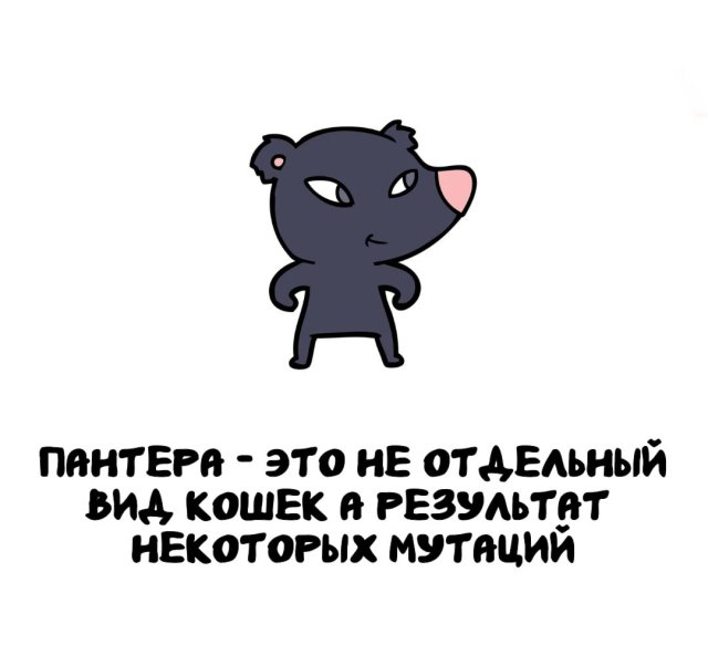 Интересные факты на все случаи жизни