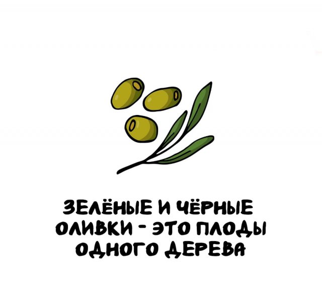 Интересные факты на все случаи жизни