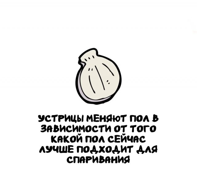 Интересные факты на все случаи жизни