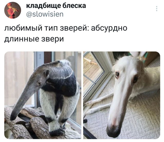 Подборка забавных твитов обо всем Подборка забавных твитов обо всем