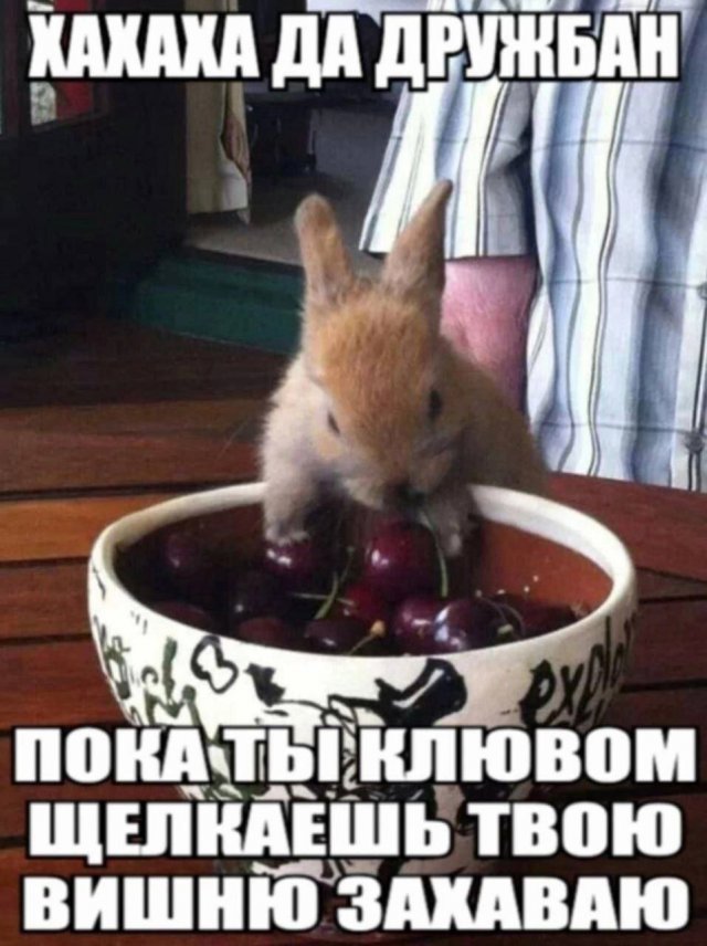 Смешные мемы - 19.06.2025
