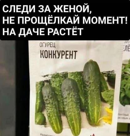 Смешные мемы - 19.06.2025