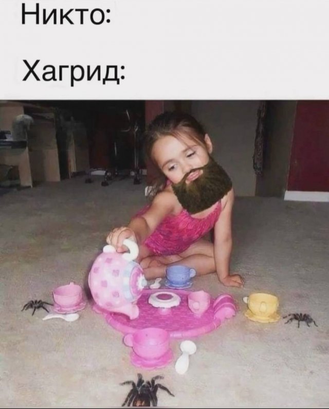 Смешные мемы - 19.06.2025