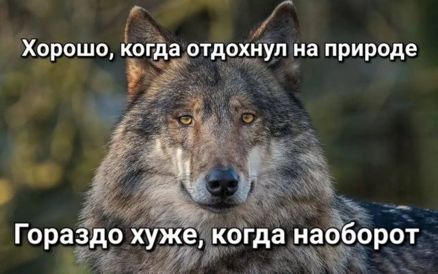 Смешные мемы - 19.06.2025