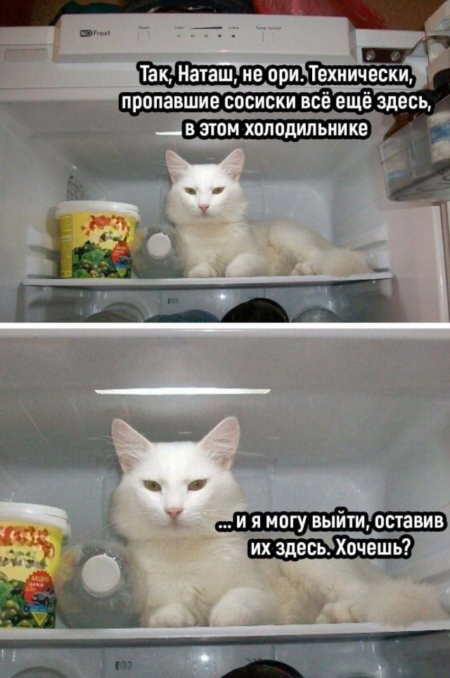Смешные картинки - 19.06.2025