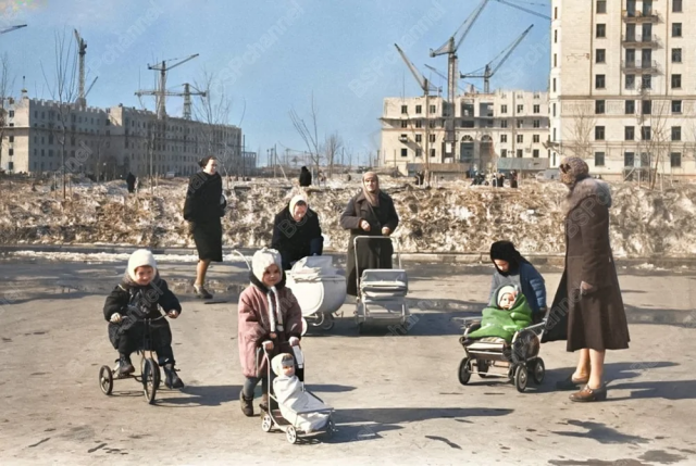 Во дворе одного из жилых домов на Юго-Западе Москвы, 1956 год. Во дворе одного из жилых домов на Юго-Западе Москвы, 1956 год.