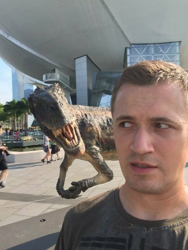 Подборка картинок. Вечерний выпуск - 19.06.2025