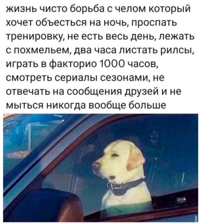 Лучшие шутки и мемы из Сети - 19.06.2025
