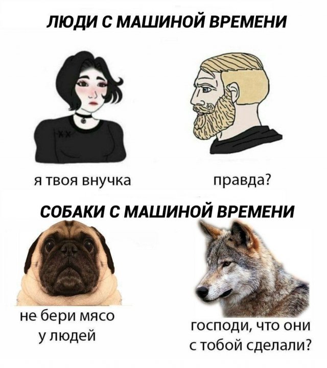Лучшие шутки и мемы из Сети - 19.06.2025