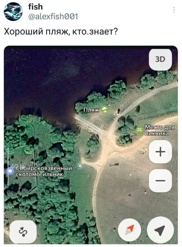 Подборка забавных твитов обо всем
