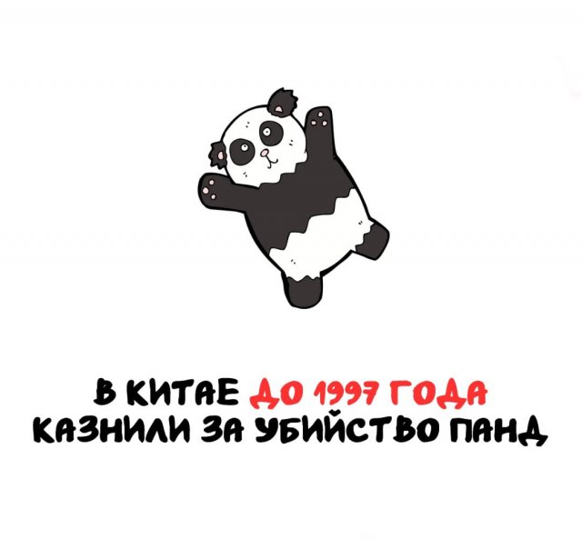 Интересные факты на все случаи жизни