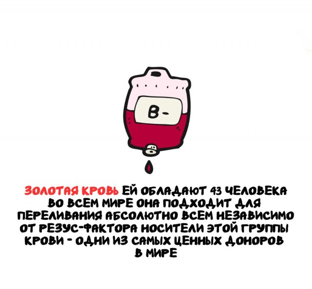 Интересные факты на все случаи жизни