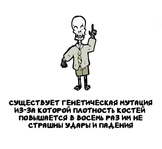 Интересные факты на все случаи жизни